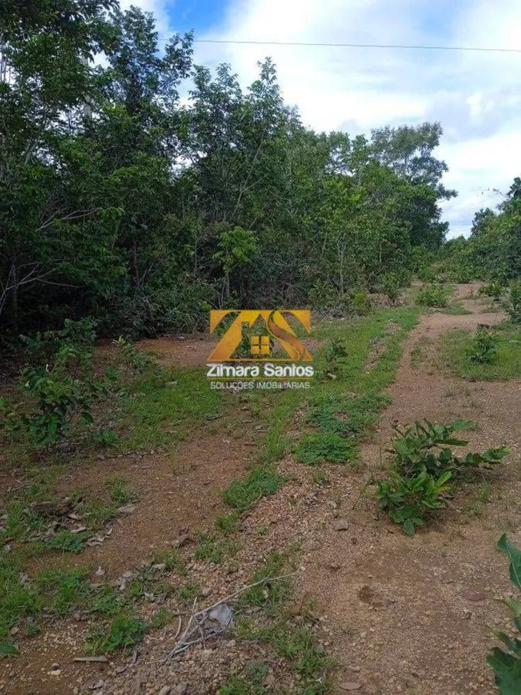 Fazenda, 1 quarto - Foto 7