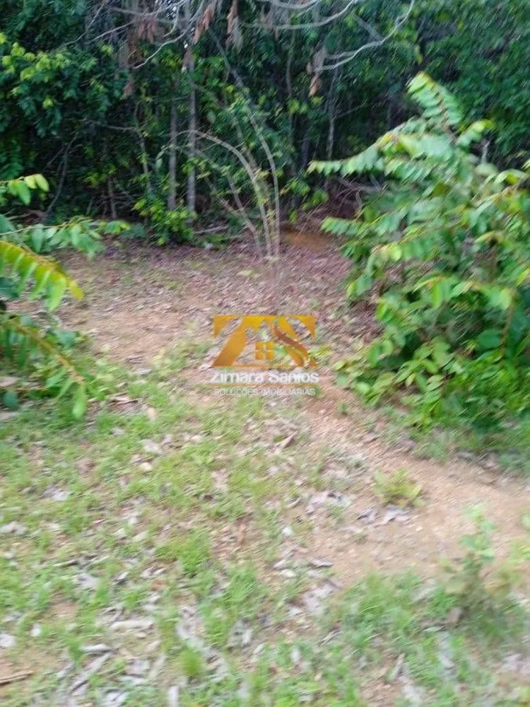 Fazenda, 1 quarto - Foto 8