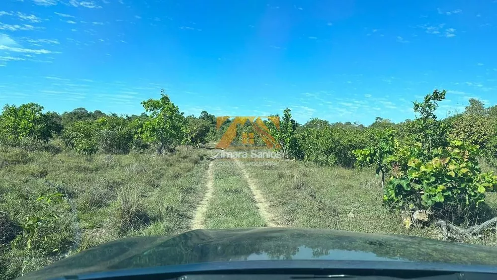 Fazenda à venda com 1 quarto, 30250000m² - Foto 4