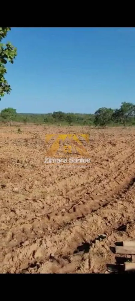 Fazenda, 1 hectares - Foto 9