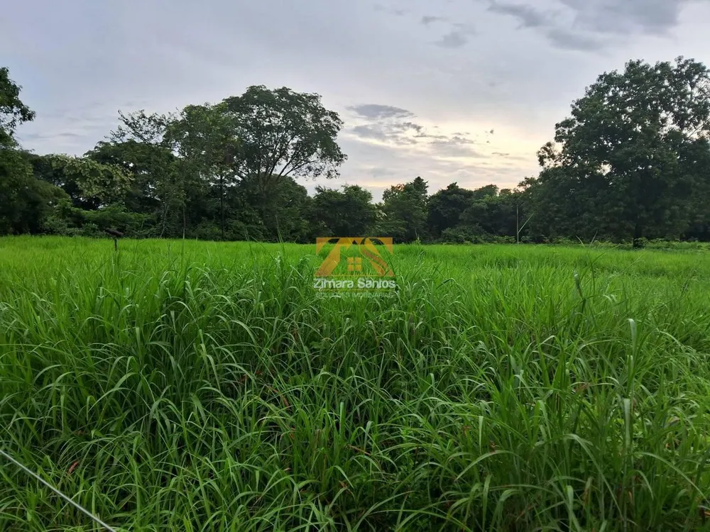 Fazenda, 1 quarto - Foto 4