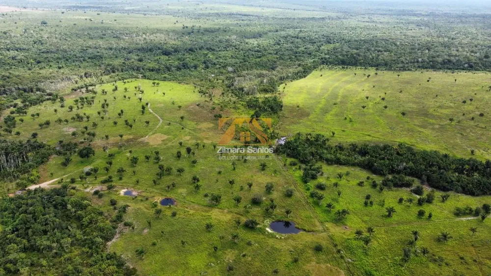 Sítio, 3 quartos, 1450 hectares - Foto 1
