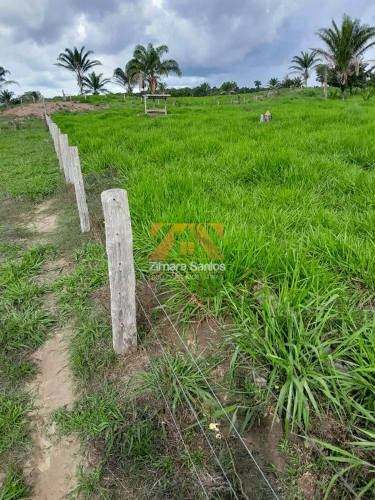 Fazenda, 6 hectares - Foto 6