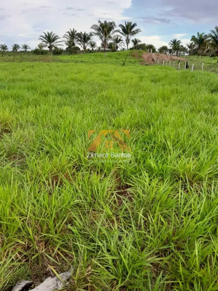 Fazenda, 6 hectares - Foto 7