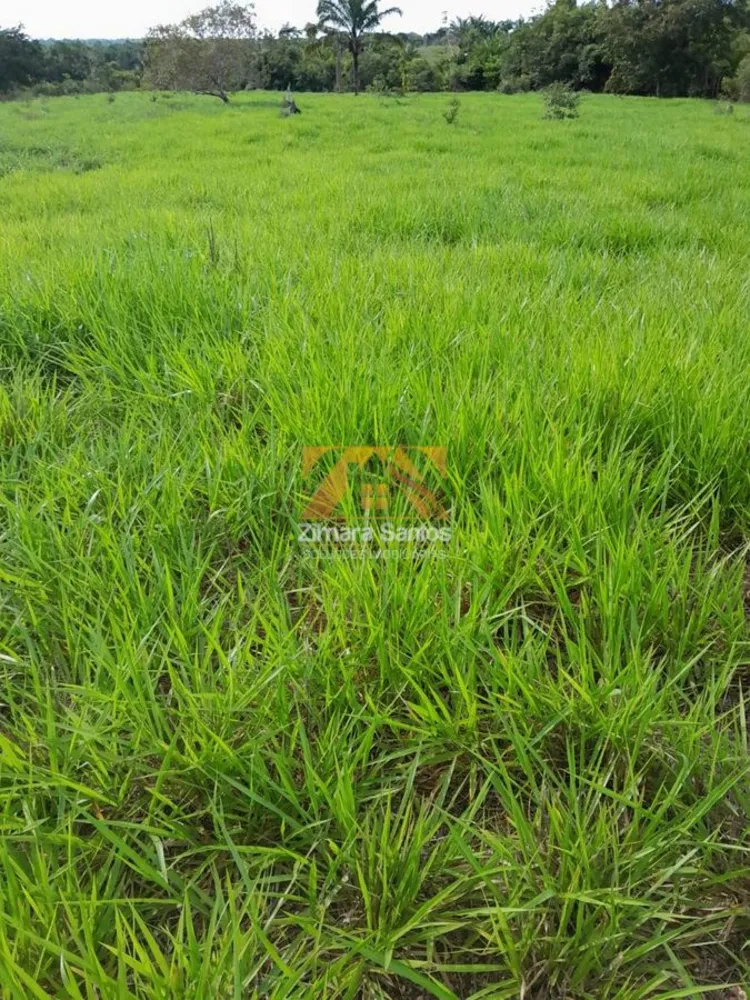 Fazenda, 6 hectares - Foto 8