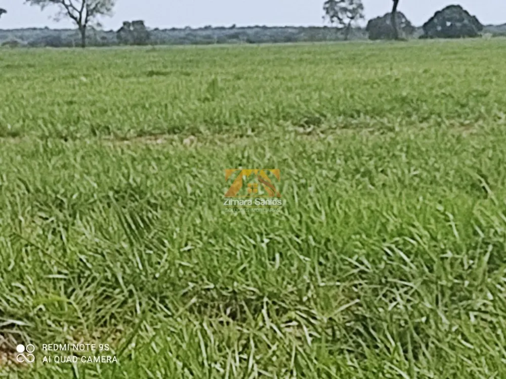 Sítio, 1 quarto, 5271 hectares - Foto 4