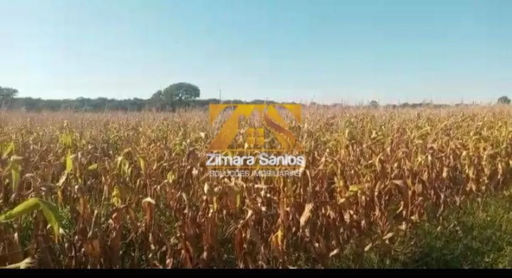 Fazenda, 5271 hectares - Foto 6