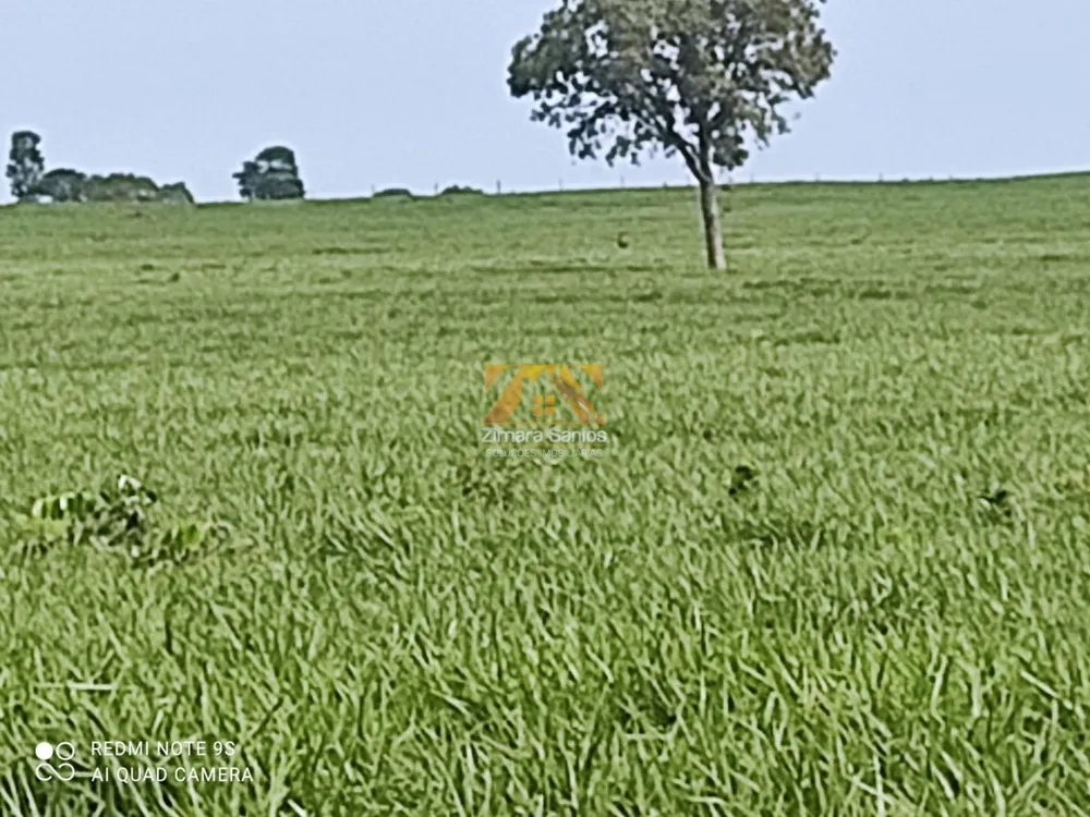 Sítio, 1 quarto, 5271 hectares - Foto 1