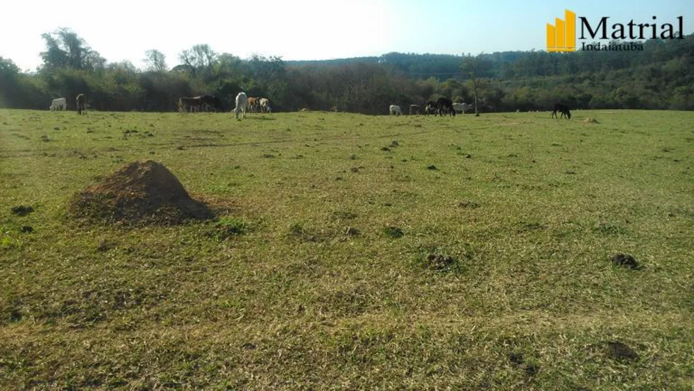 Sítio, 13 hectares - Foto 4