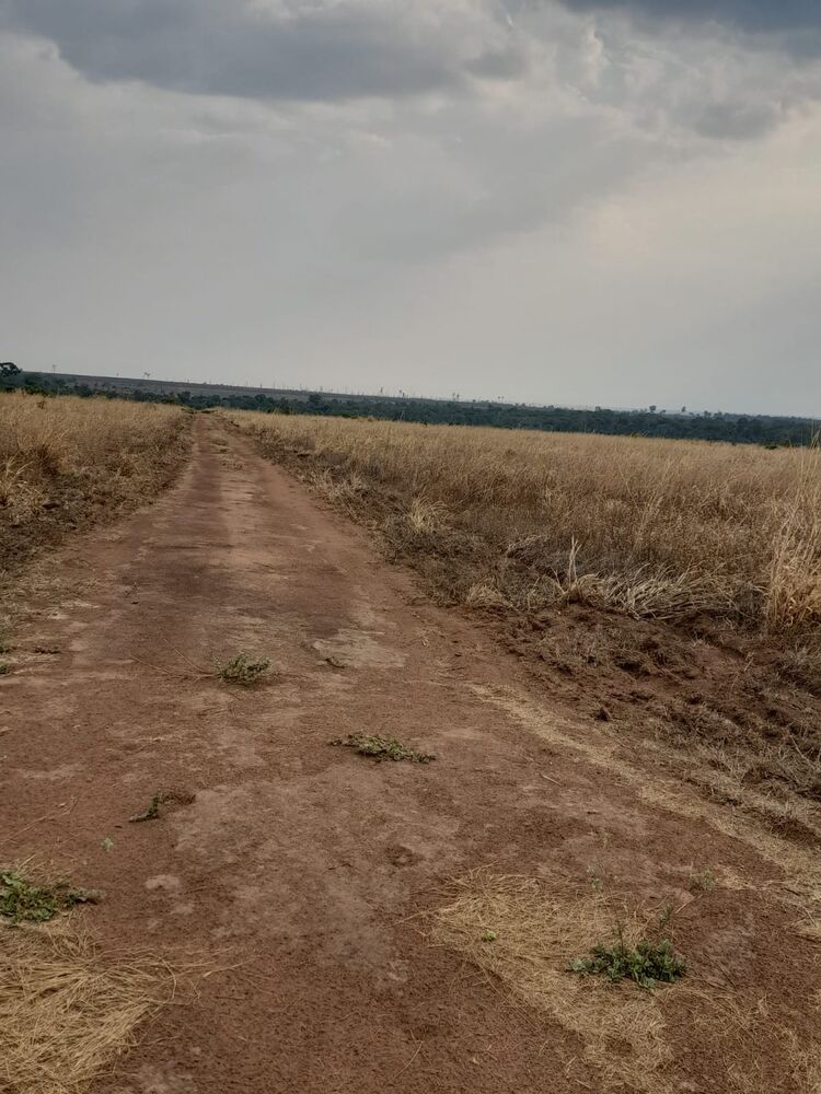 Sítio, 16 m² - Foto 2