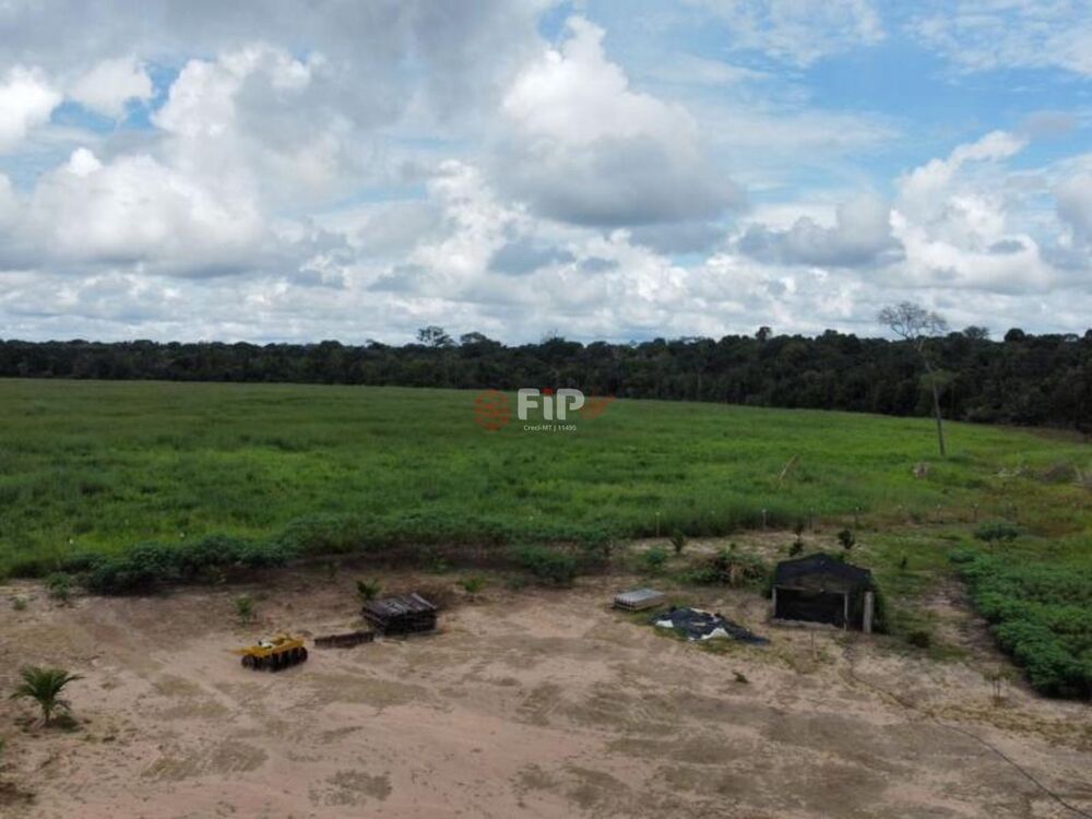 Fazenda - Foto 4
