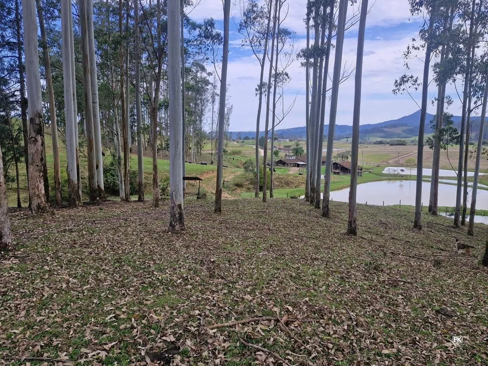 Fazenda, 42 hectares - Foto 10