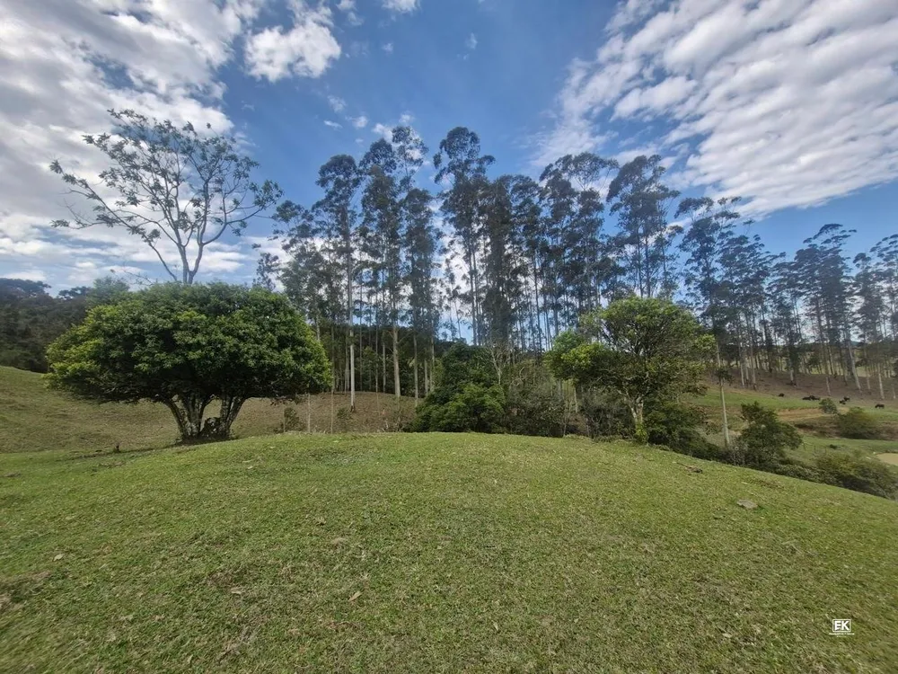 Fazenda, 42 hectares - Foto 12