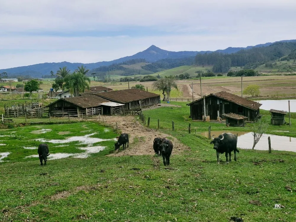 Fazenda, 42 hectares - Foto 1