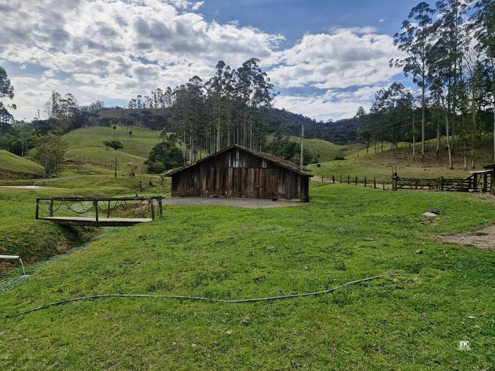 Fazenda, 42 hectares - Foto 7