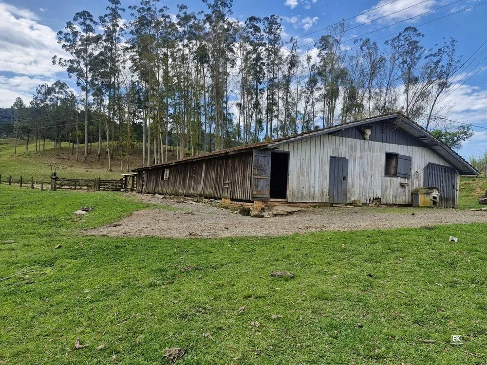 Fazenda, 42 hectares - Foto 5
