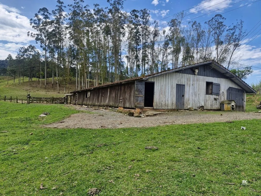 Fazenda, 42 hectares - Foto 9