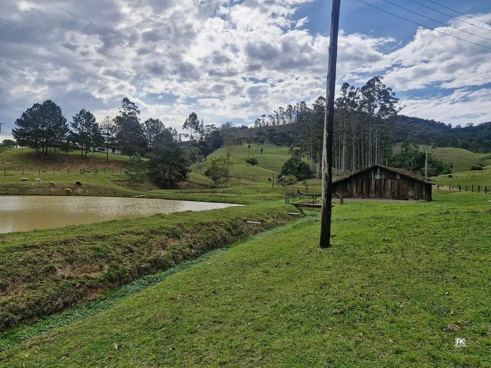 Fazenda, 42 hectares - Foto 8