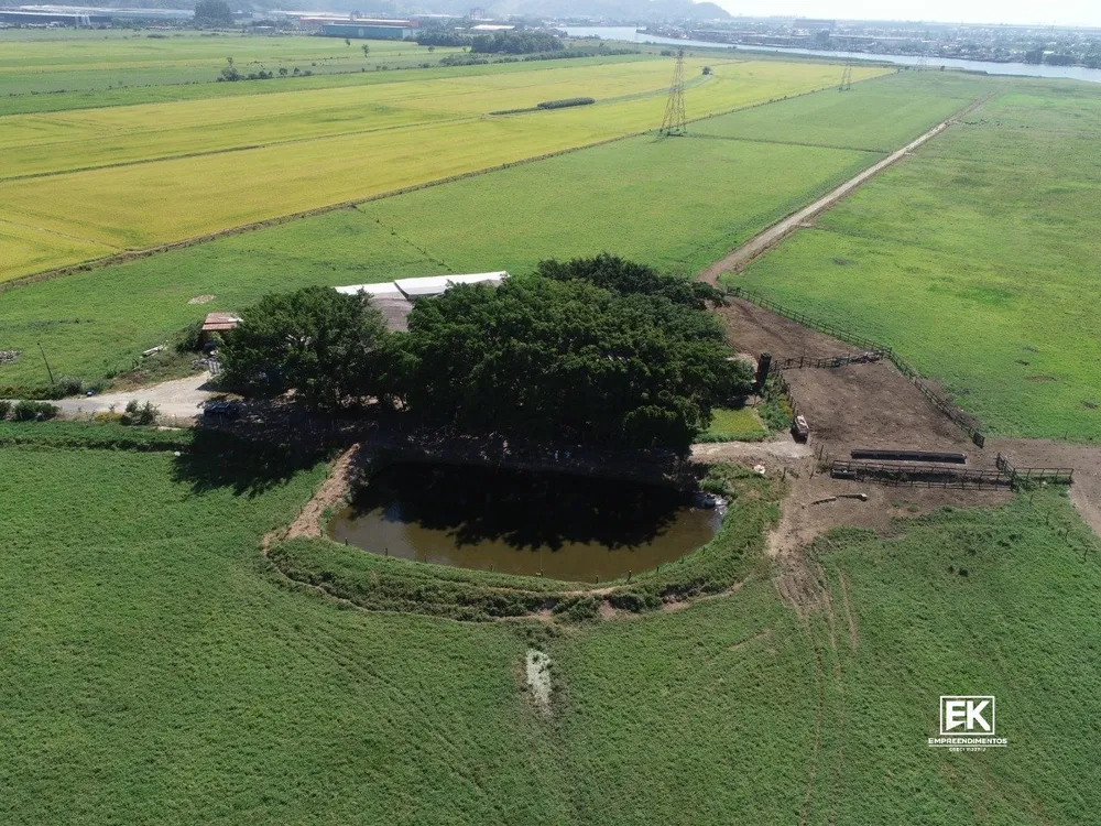 Terreno, 32 hectares - Foto 6
