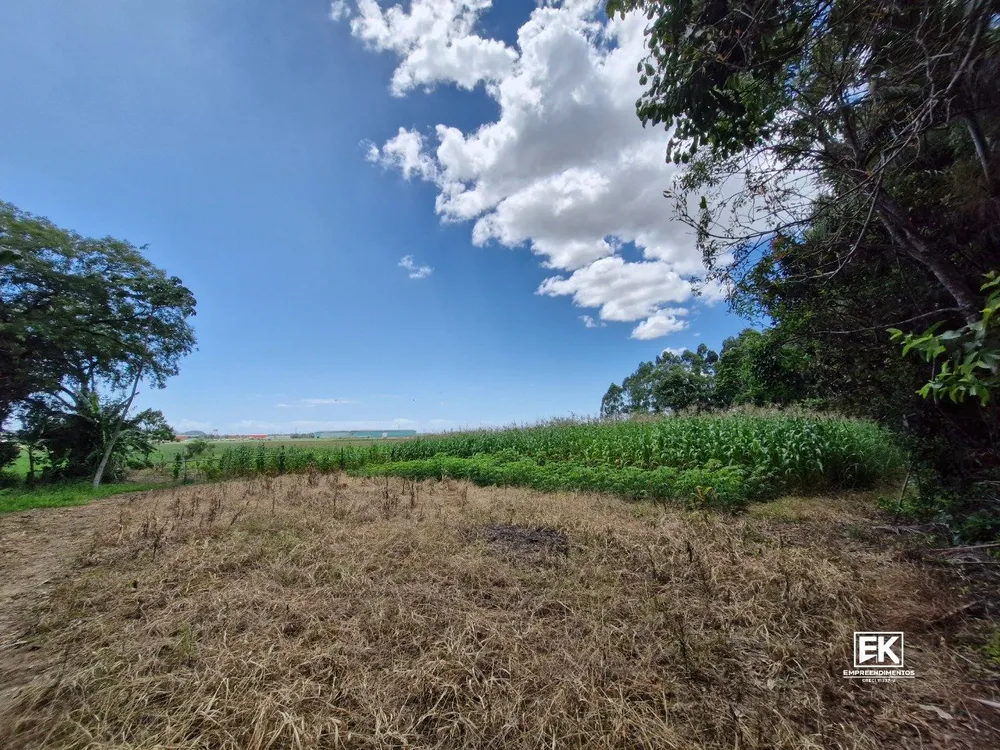 Terreno, 9 hectares - Foto 10