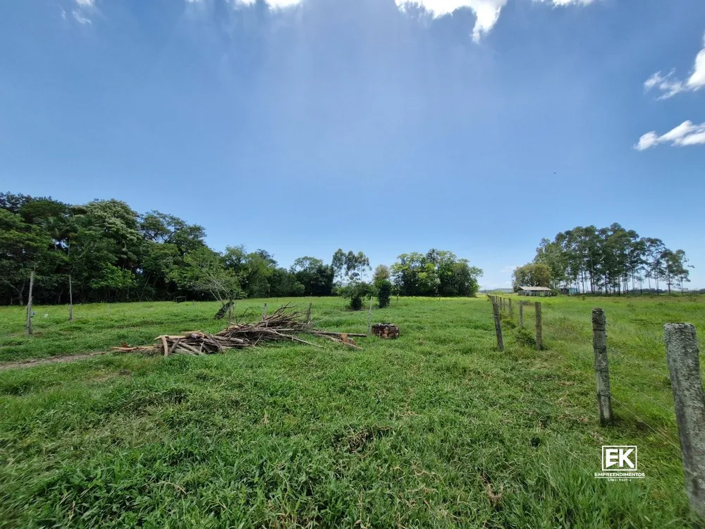 Terreno, 9 hectares - Foto 4