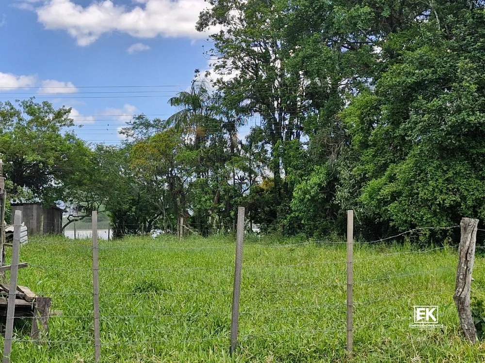 Terreno, 9 hectares - Foto 6