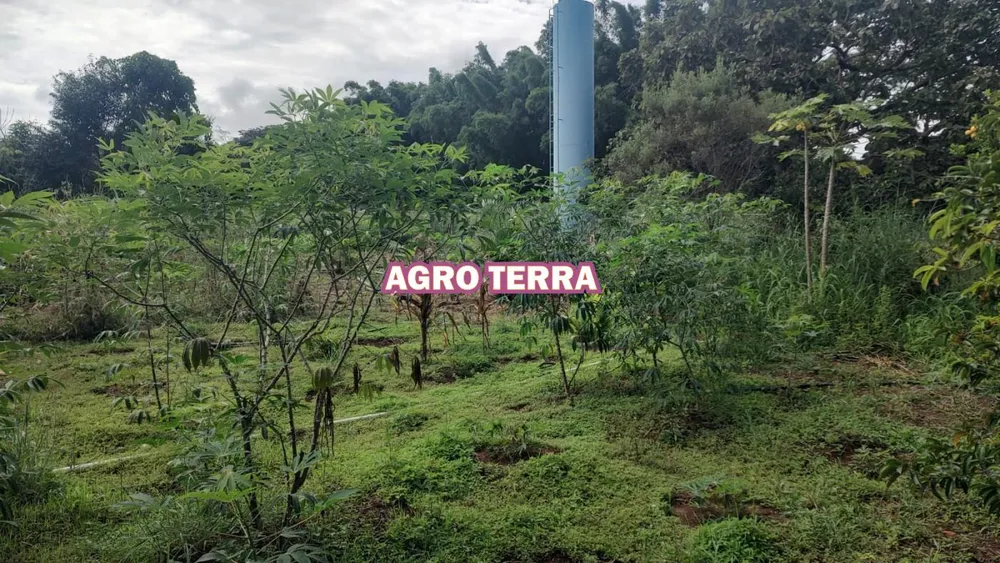 Chácara, 3 quartos, 2 hectares - Foto 10