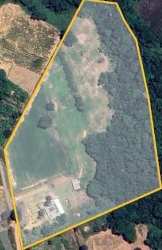Chácara, 3 quartos, 2 hectares - Foto 6
