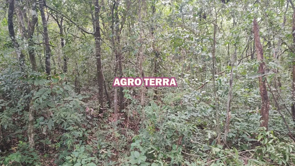Chácara, 3 quartos, 2 hectares - Foto 8