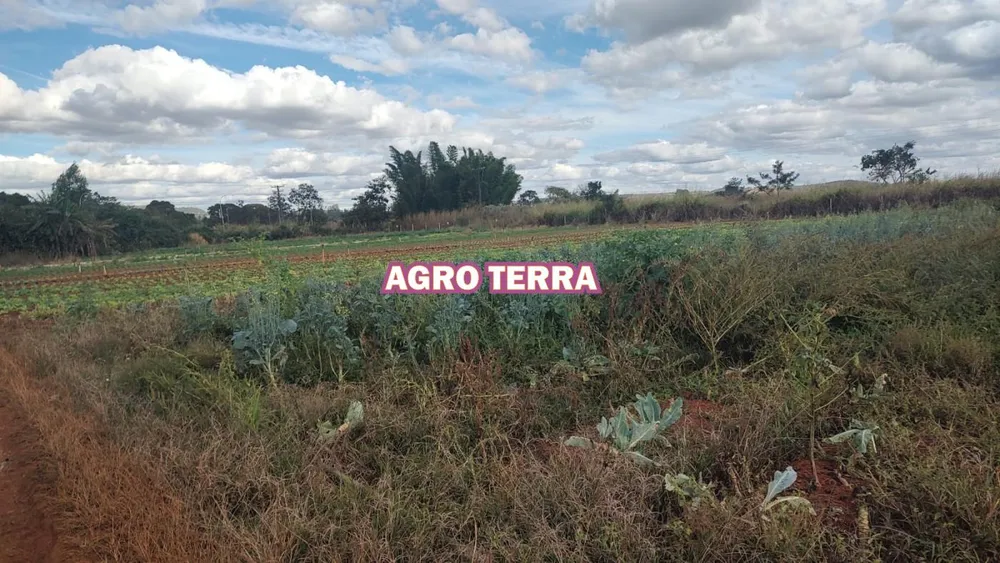 Chácara, 4 quartos, 4 hectares - Foto 11