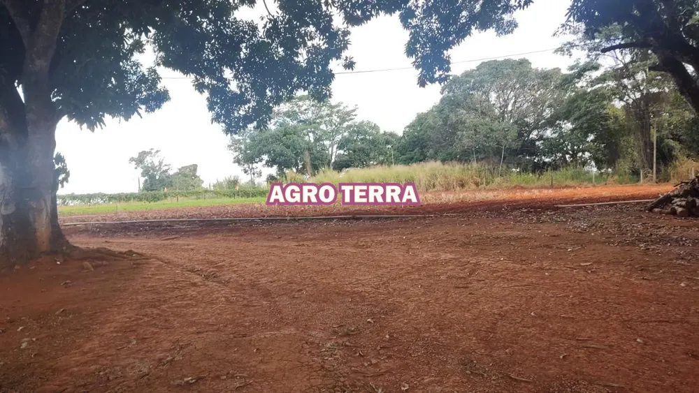 Chácara, 4 quartos, 4 hectares - Foto 5