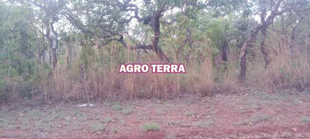 Terreno, 2400 m² - Foto 4