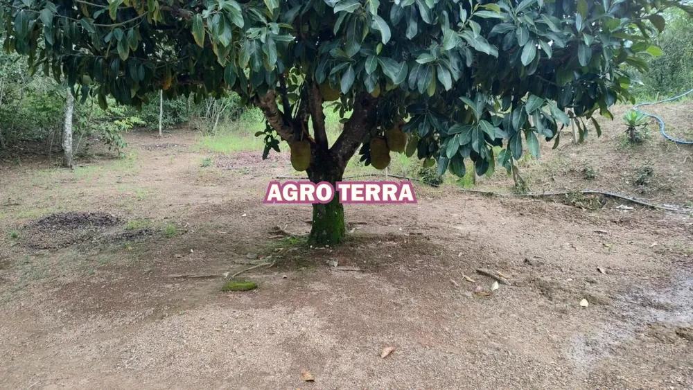 Chácara, 2 quartos, 2 hectares - Foto 7