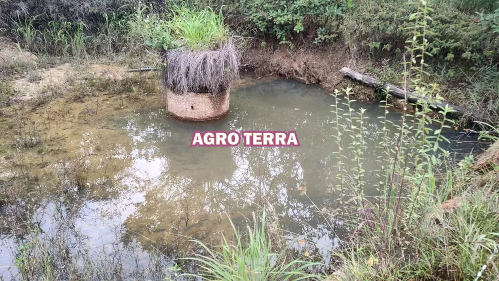 Sítio, 2 quartos, 2 hectares - Foto 7
