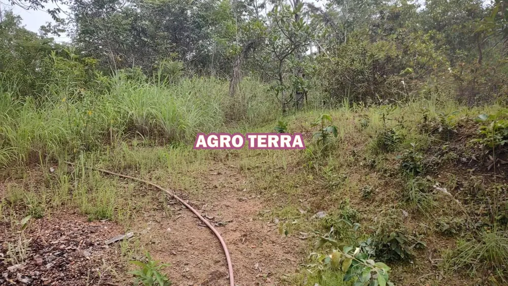 Chácara, 2 quartos, 2 hectares - Foto 6