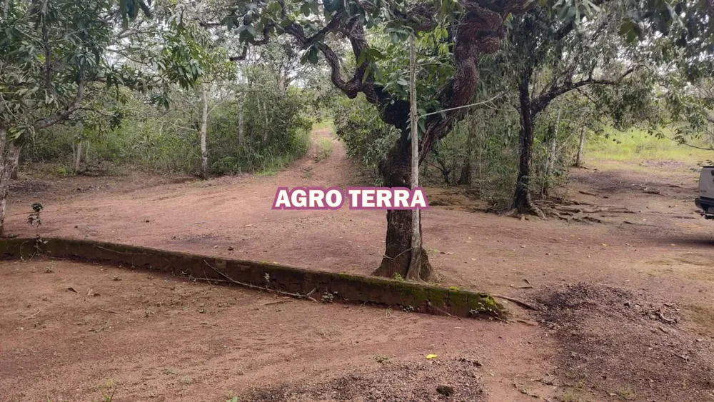 Chácara, 2 quartos, 2 hectares - Foto 1