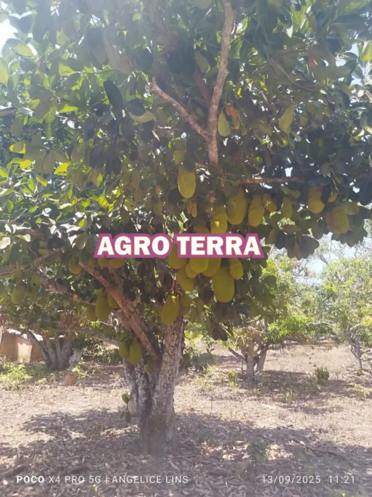Chácara, 3 quartos, 2 hectares - Foto 2