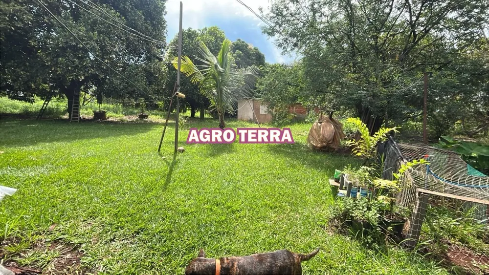 Chácara, 4 quartos, 2 hectares - Foto 1