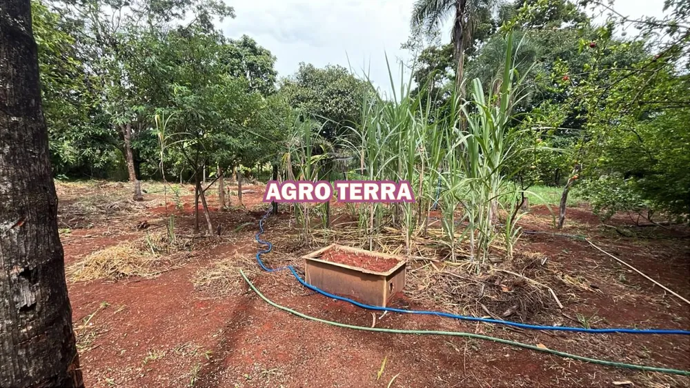Chácara, 4 quartos, 2 hectares - Foto 4