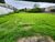 Terreno, 2000 m² - Foto 4