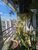 Apartamento, 4 quartos, 180 m² - Foto 16