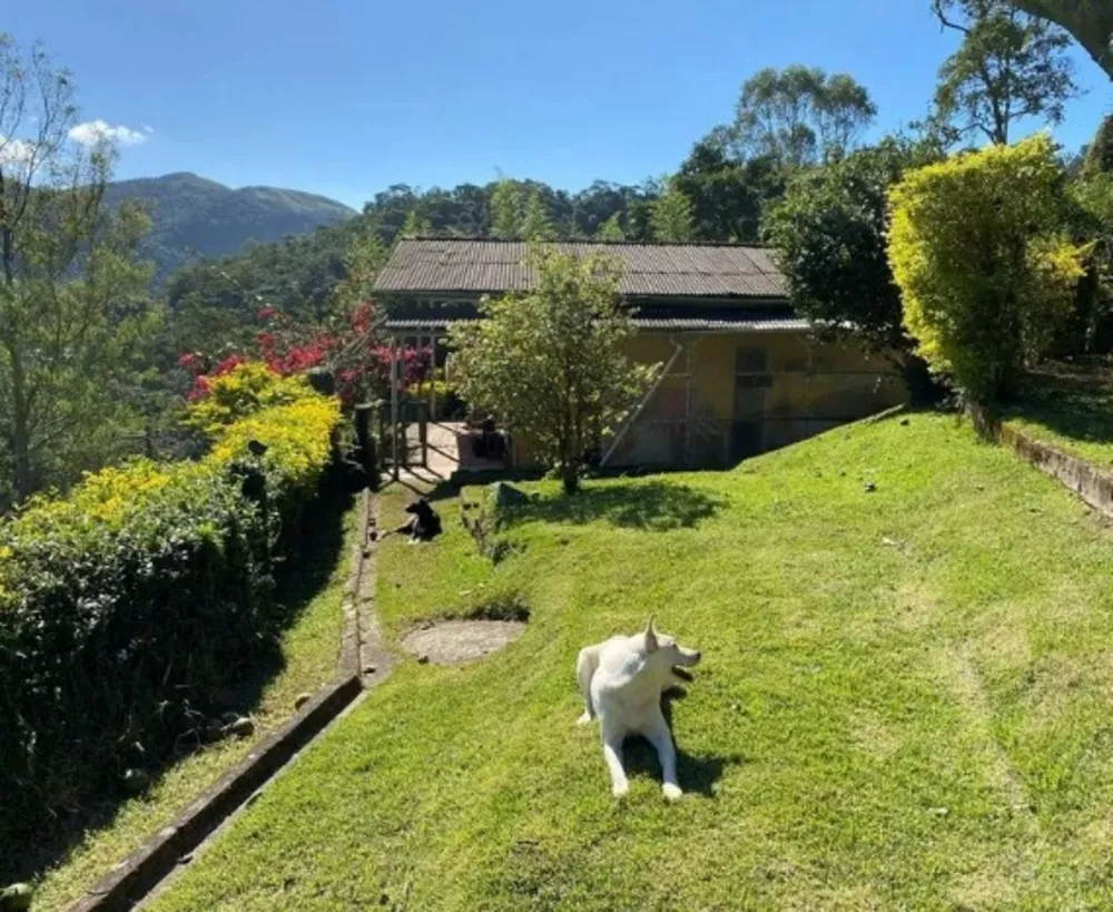 Casa, 5 quartos, 400 m² - Foto 8