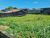 Terreno, 266 m² - Foto 3