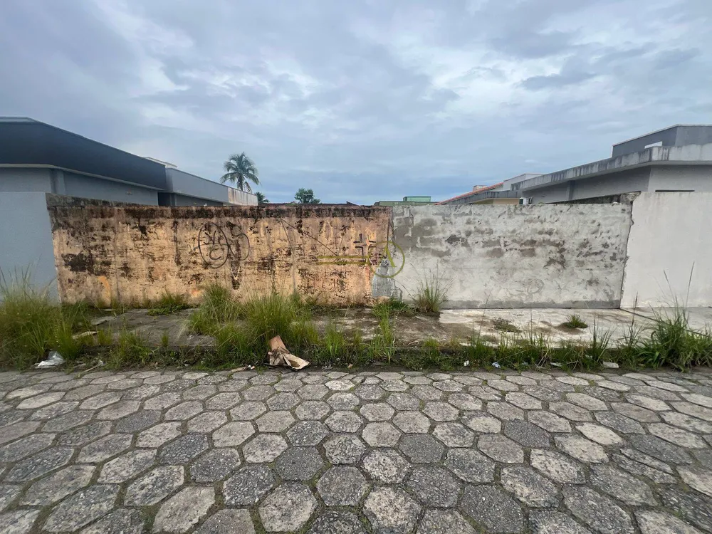 Terreno, 297 m² - Foto 1