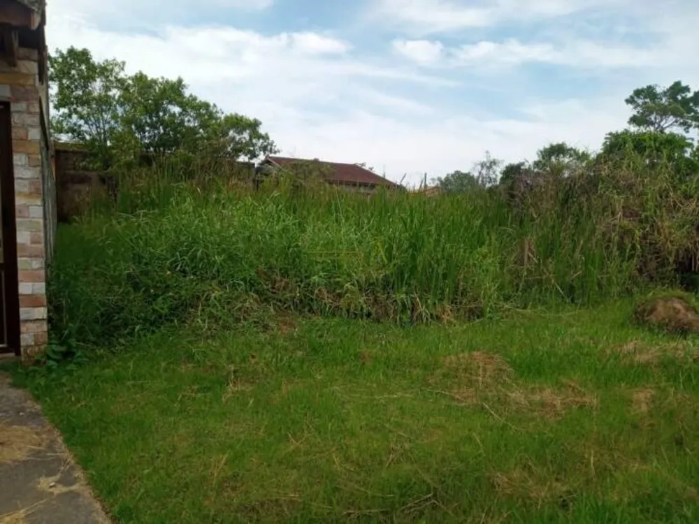 Terreno, 318 m² - Foto 5