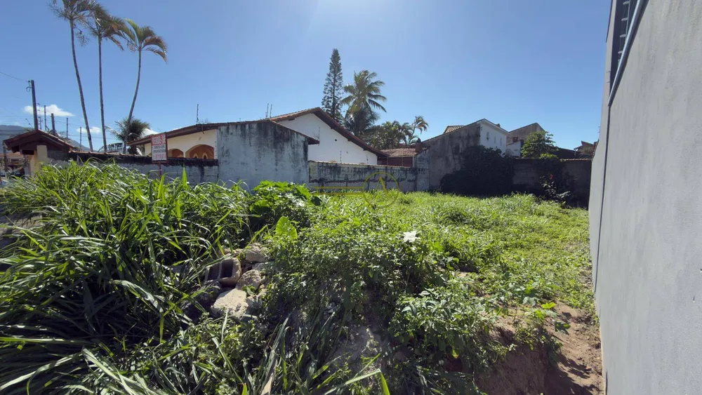 Terreno, 300 m² - Foto 3