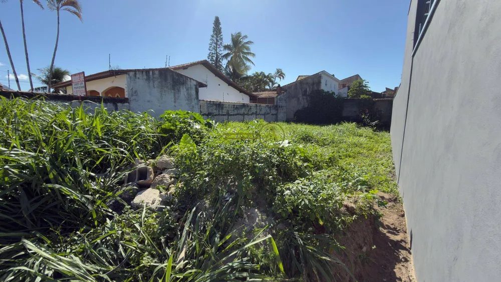Terreno, 300 m² - Foto 4