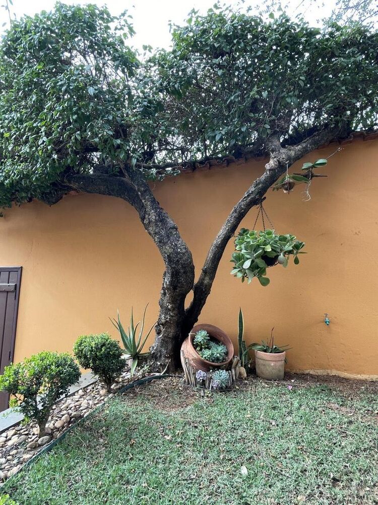 Casa, 4 quartos, 300 m² - Foto 24