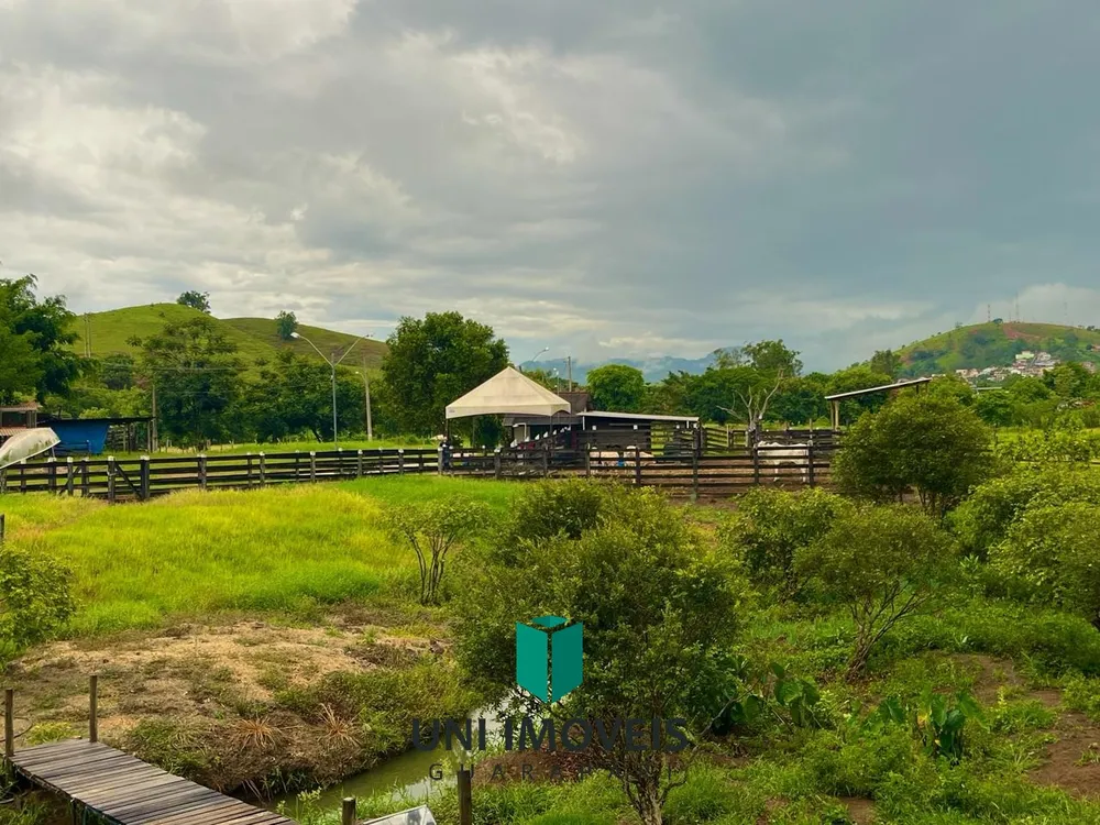 Fazenda, 111 hectares - Foto 10