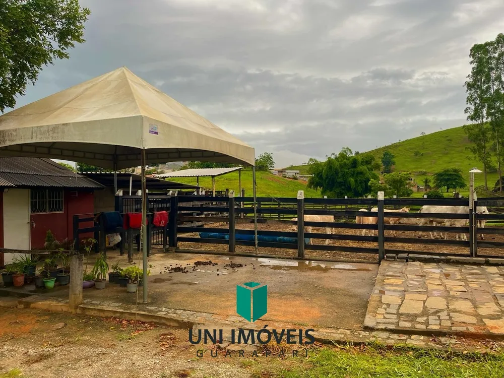 Fazenda, 111 hectares - Foto 4